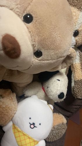 がぶちゃん・短期留学中のぽっちゃん・道路で救出したすぬちゃん・後ろに湯たんぽくまのポッカレモンちゃん