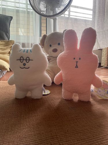 新しい仲間増えた〜🐱🐰