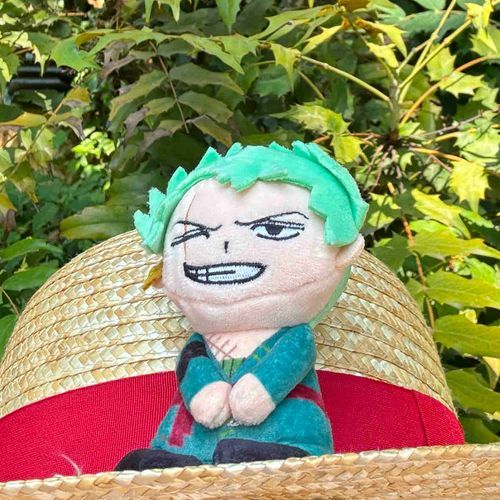 summer ゾロ