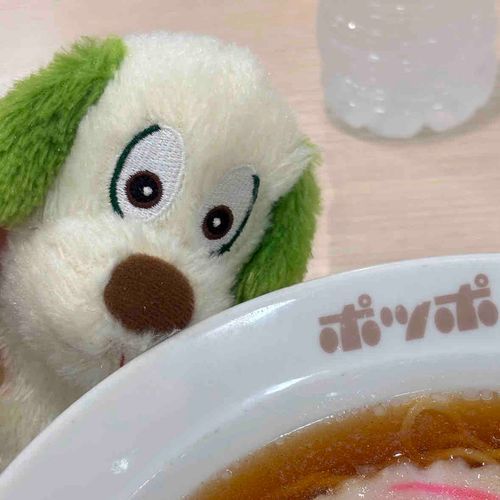 ポッポ🐦