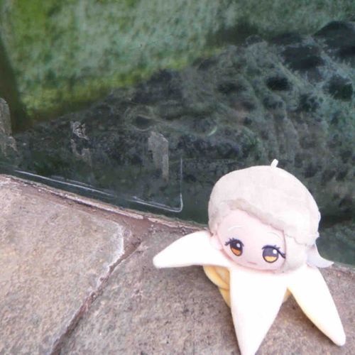 篠澤とワニ、しのさわに。