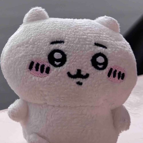 ちいかわを色んな場所に散歩させます