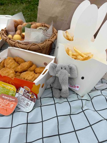 ピクニックとぞう