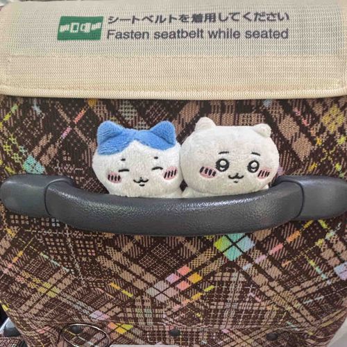 バスでお出かけ
