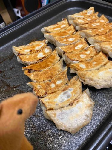 茄子チンゲンサイ餃子と、舞茸餃子を作ってのマンドゥパーティ開催
埴馬はお塩で食べる舞茸餃子がお気に入りでしたよね