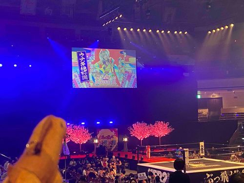 初プロレス
初りょうごくこくぎかん
焼き鳥も食べたし様式美も堪能〜🐴