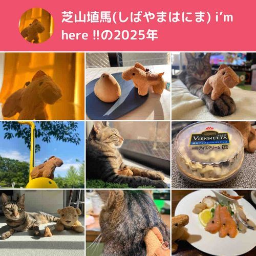 あけましておめでとうございます

何てったって2026年は「埴馬」の年
何事も「うま」くいく1年にしまうま🦓⤴︎⤴︎