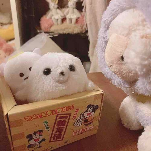 ぴったりやんなぁ
