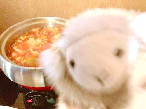 あったかくなったら、なべもおしまいになるね