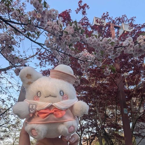 🌸