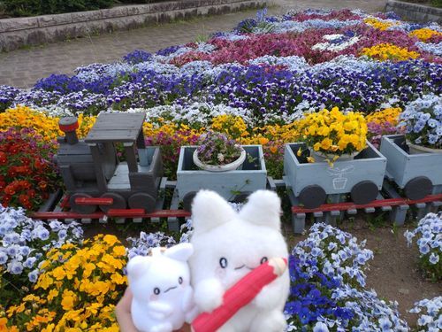 🚂💐🌷🪻💐

