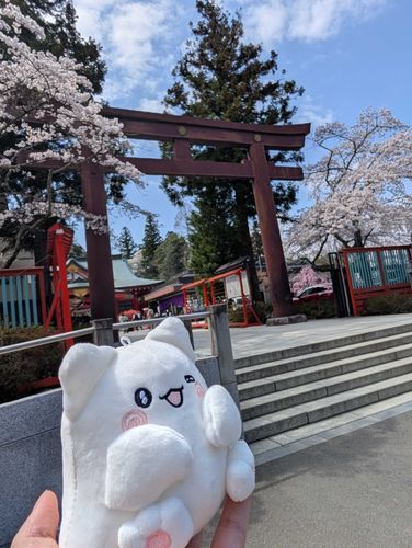 ⛩️🌸
