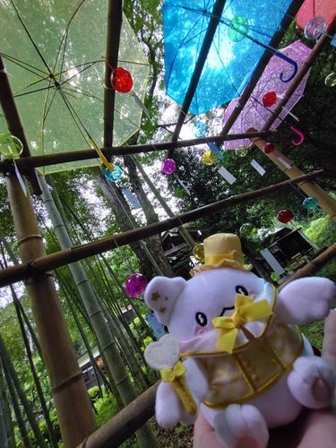 ☂️🎐
雨の日も素敵なの