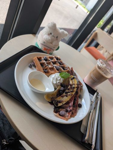 お勉強しに図書館に行ったの！🧇☕📚️