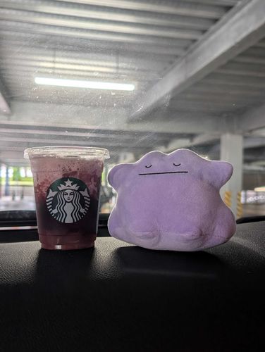 ぶどう🍇美味しかったね