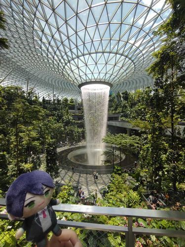シンガポールの空港にあった滝