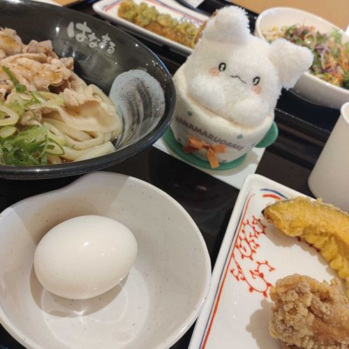 はなまるうどんデビューした時の