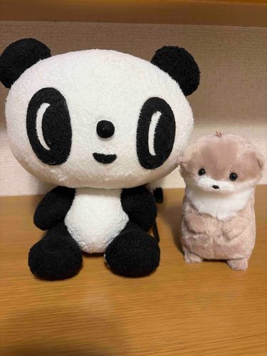 新しい家族を紹介するよー
かわうその（わく）です
ママからは、わくさんって呼ばれてるよ
よろしくねー