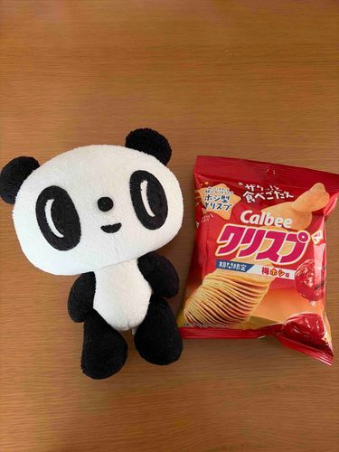 このごろお店では梅味のいっぱい見かけるから、気になるの買ってみたよ
じゃがりこの梅も探してるけどなぜか見つからないよ😳
