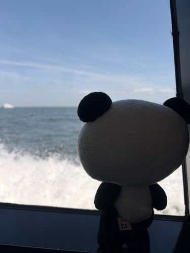 船に乗って日間賀島に行ったよ
大きいタコさんや大きいタイさんもいたよー
海は広いねー