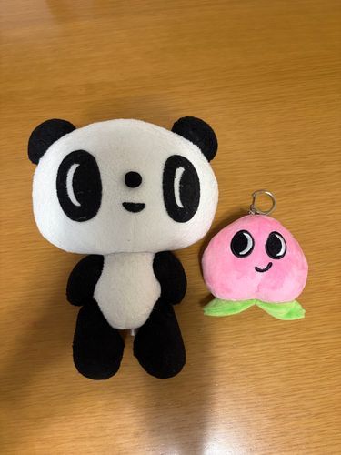 新しい家族が増えましたー
よろしくねー😊