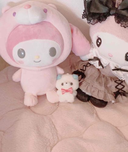 久しぶりの投稿✨.ﾟ
持ち主さんがおむかえしたメロディちゃん（右）とぱしゃり📸