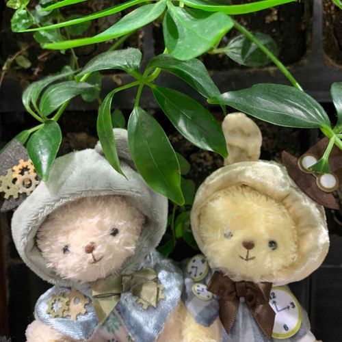 Rily&Clairdeluna
仲良しお散歩