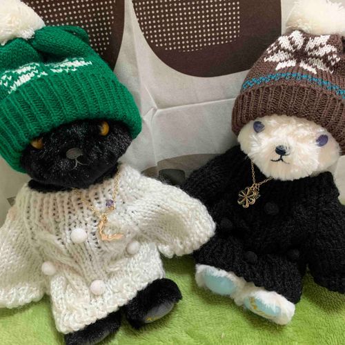 Rily&Clairdelune
白いコがRily リリィ🏵
黒いコがLune ルナ💠