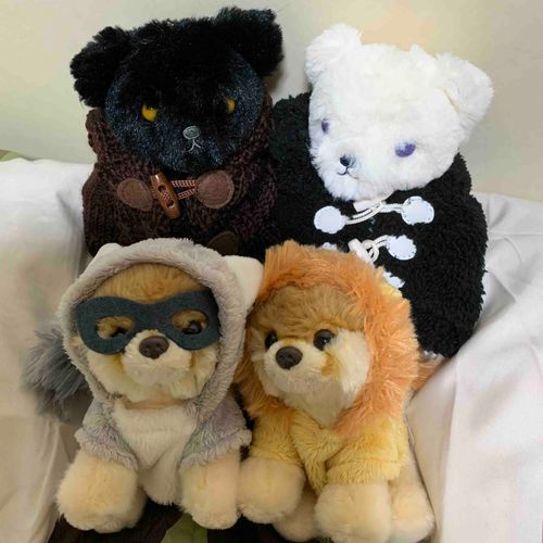 Rily&Lune
Rilyのライオンポメラニアン
Luneのオオカミポメラニアン
すきなひとのすきなものは
とうぜんすき