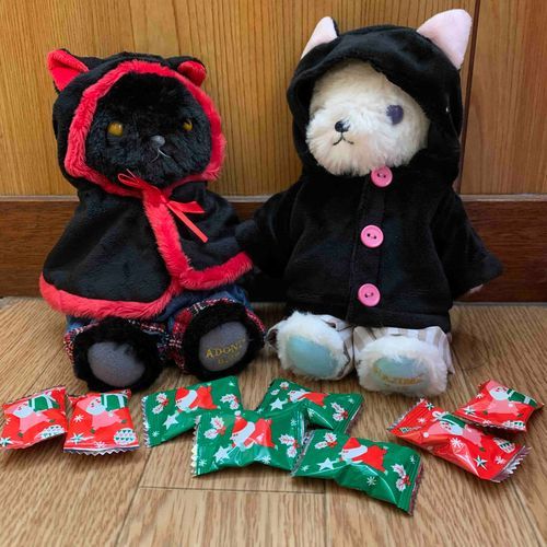 Rily&Lune
クリスマスのじゅんび🎄