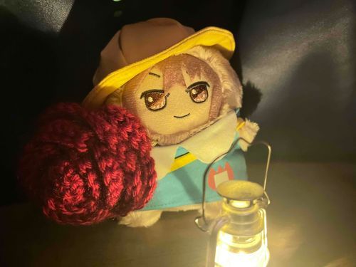🐯夜の明かりに照らされた俺の顔も、最高だな…。