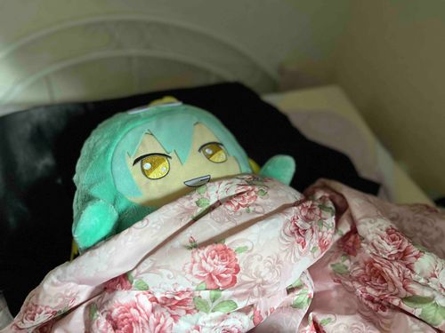 今日もよく寝たな！