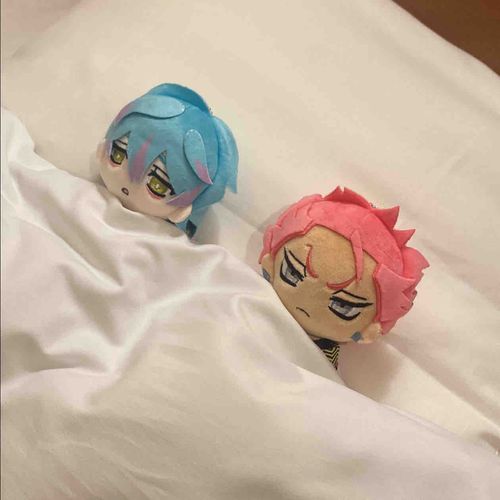 今日はおやすみなさい💤
良い夢を