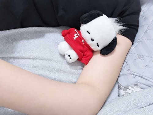 ポチャッコなら私の隣で寝てるよ