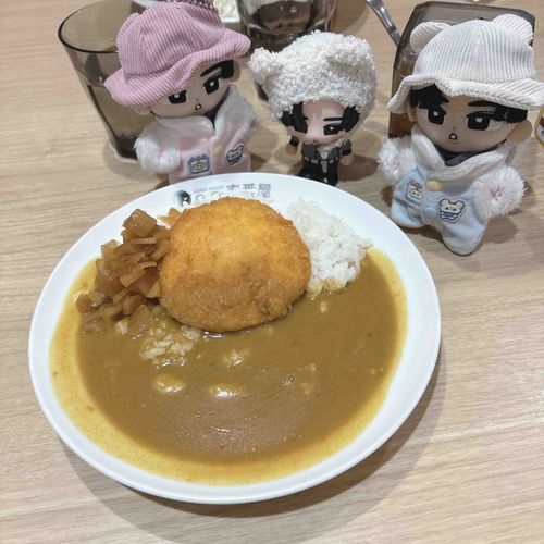 CoCo壱のカレー🍛初めて入った！！少なめにしたけどおなかいっぱいになる🥰