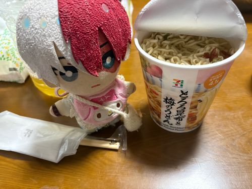 とろろ昆布と梅のうどんを早速食べてみたら美味しかった◥█̆̈◤࿉∥