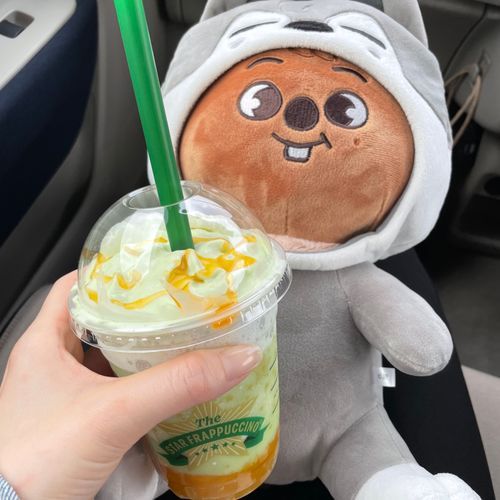 THE フラペチーノ of メロン of メロン
