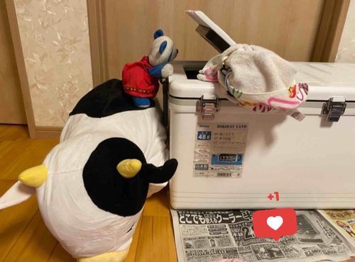 どれにしよっかな〜🧃



📸2021.07