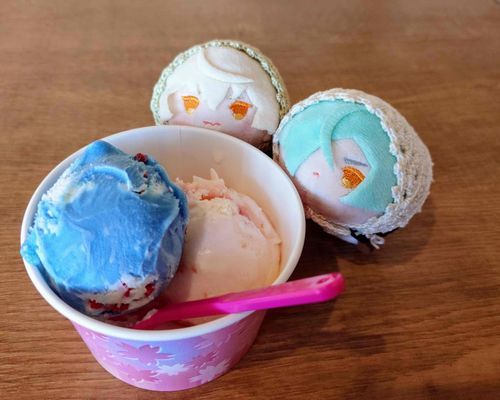 あるじにさそわれて、あいすくりーむをたべにいったよ🍨