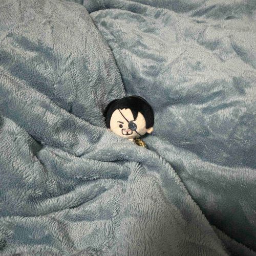 ふわふわ おふとん ええな！
あったかくて さいこうや
ごろぬが そいね したるからな