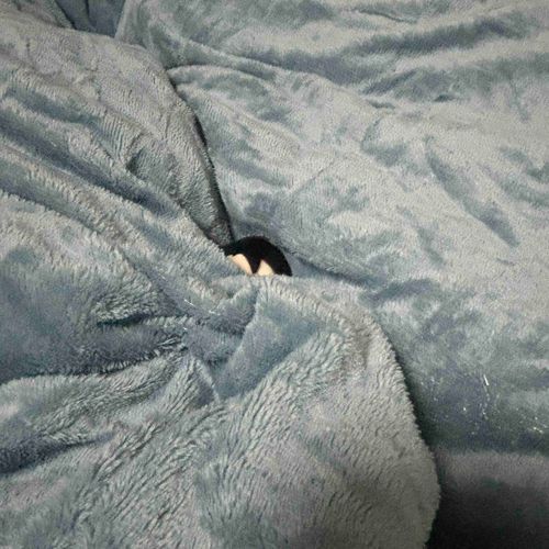 ぬしちゃーん はよ ねぇへんと
こわーいおばけ く……
まっ、ワシ うまってまむふ
