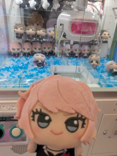 出会った日のじゅんこちゃん
この日は七夕🌠