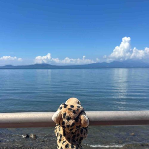 海にきたよー！