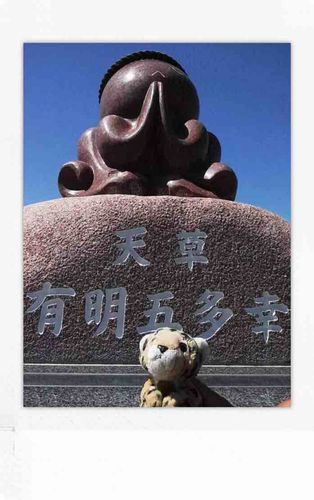 タコさんのポーズを真似したよ！