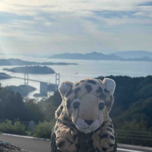 しまなみ海道見えまーす！！