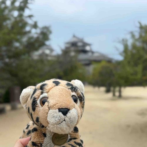 松山城おっきい〜〜🏯