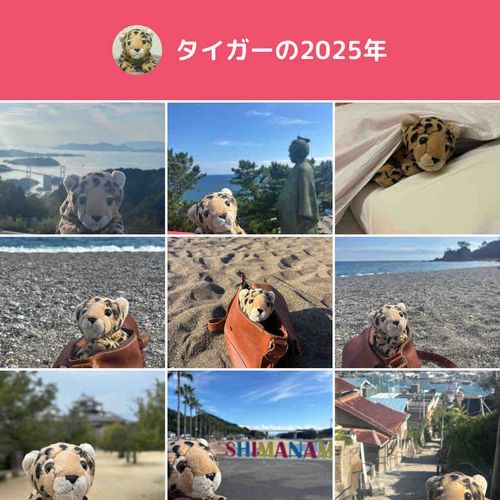2025年タイガーを見てくれて、ありがとうございました。
来年もよろしくね！