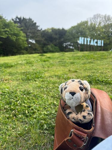 公園におでかけしてまーす！