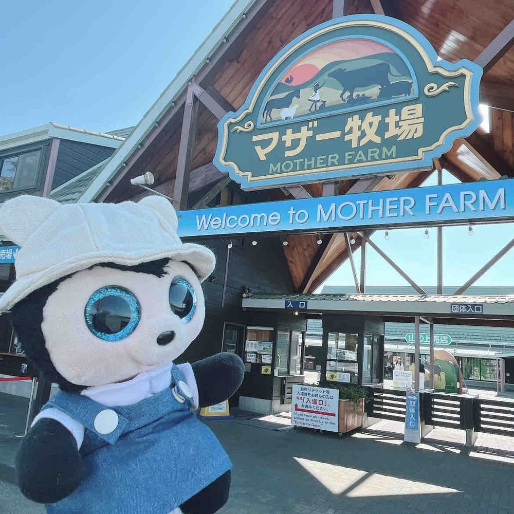 菜の花畑にお出かけしたよ🌼

マザー牧場は菜の花が満開だったよ🐮︎🌟
🐑さんや🪿さんを見たり、ソフトクリームをたべたりしたよ🍦

ばーじゅは虫だから、お花畑を見れてうれしかったよ〜🎶
こっそり蜜もちゅうちゅうしたよ🌼🍯