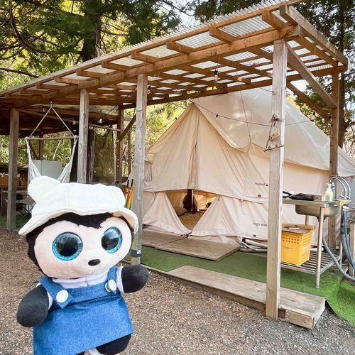 初めてのグランピングに行ったよ🏕
ずっと憧れてたんだぁ︎🌟

大きなテントはベッドやこたつがあって冬でもあったかいんだぁ⛄️❄️
夜はじぶんで割った薪で火をおこして焼きマシュマロも食べたよ🔥

また写真のせるね📷✨
